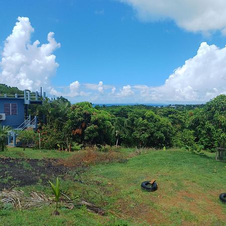 Rooster Run Glamping Camping Has Rooftop And Off The Ground Glamping Experience For 1 To 16 In A Single Tent And Views Of The Rain Forrest And To Culebra Across The Atlantic Ocean W Tents, Linens, Deluxe Air Beds, Warm Shower And More At A Great Pric Vieques Extérieur photo
