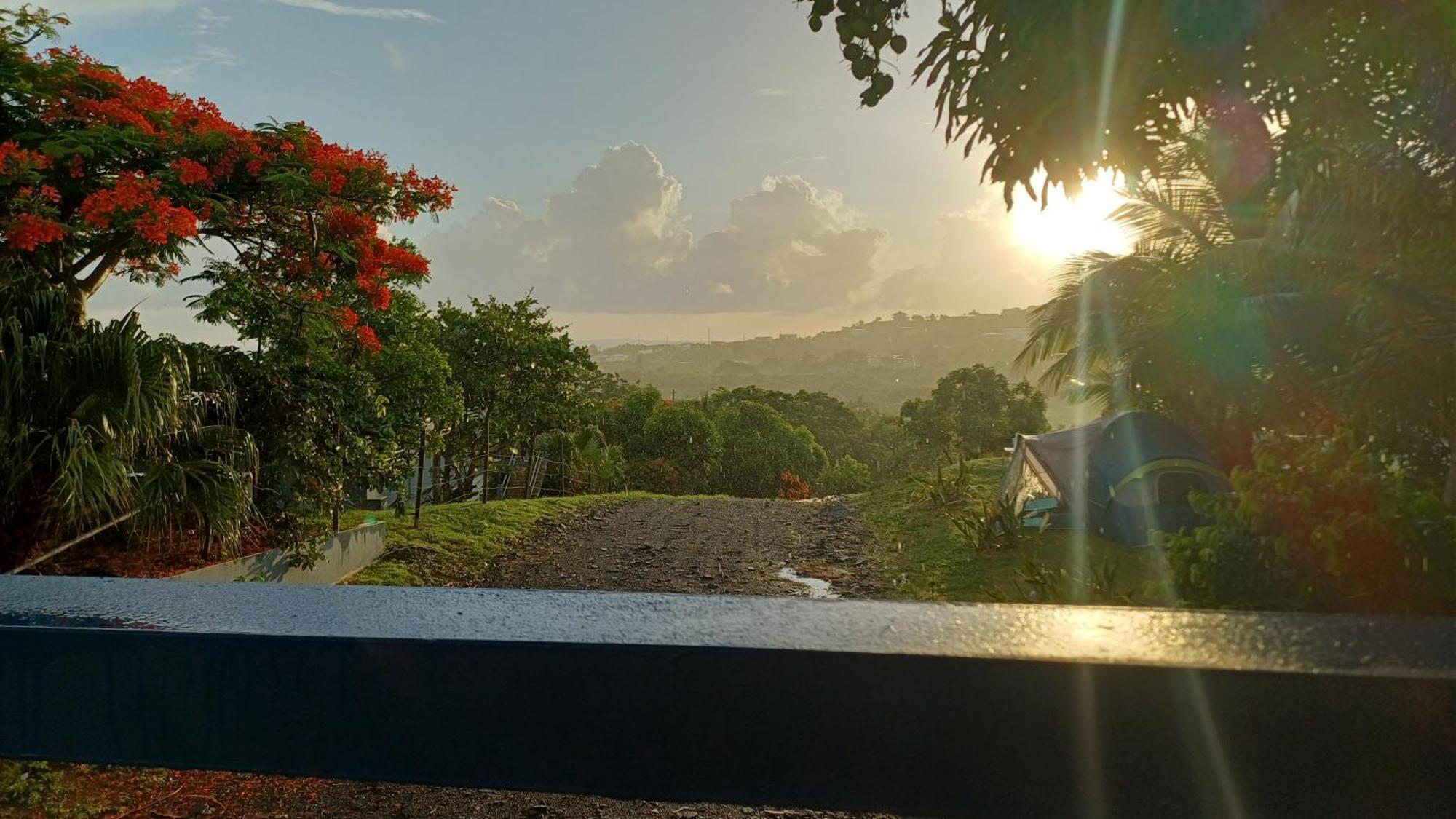 Rooster Run Glamping Camping Has Rooftop And Off The Ground Glamping Experience For 1 To 16 In A Single Tent And Views Of The Rain Forrest And To Culebra Across The Atlantic Ocean W Tents, Linens, Deluxe Air Beds, Warm Shower And More At A Great Pric Vieques Extérieur photo
