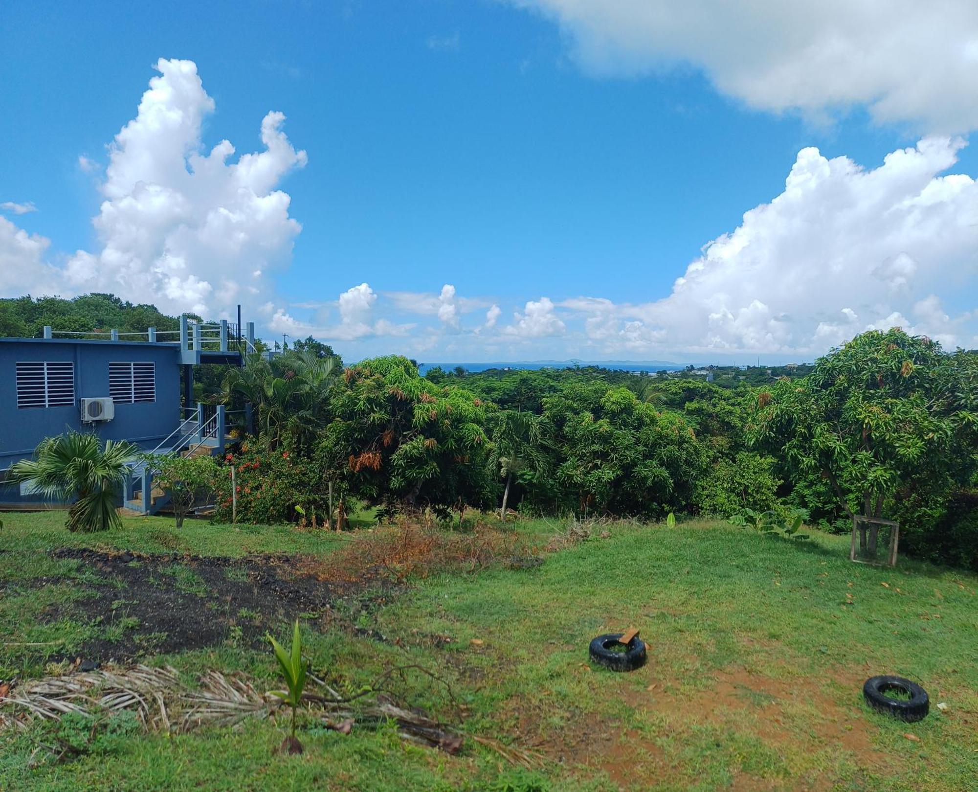 Rooster Run Glamping Camping Has Rooftop And Off The Ground Glamping Experience For 1 To 16 In A Single Tent And Views Of The Rain Forrest And To Culebra Across The Atlantic Ocean W Tents, Linens, Deluxe Air Beds, Warm Shower And More At A Great Pric Vieques Extérieur photo