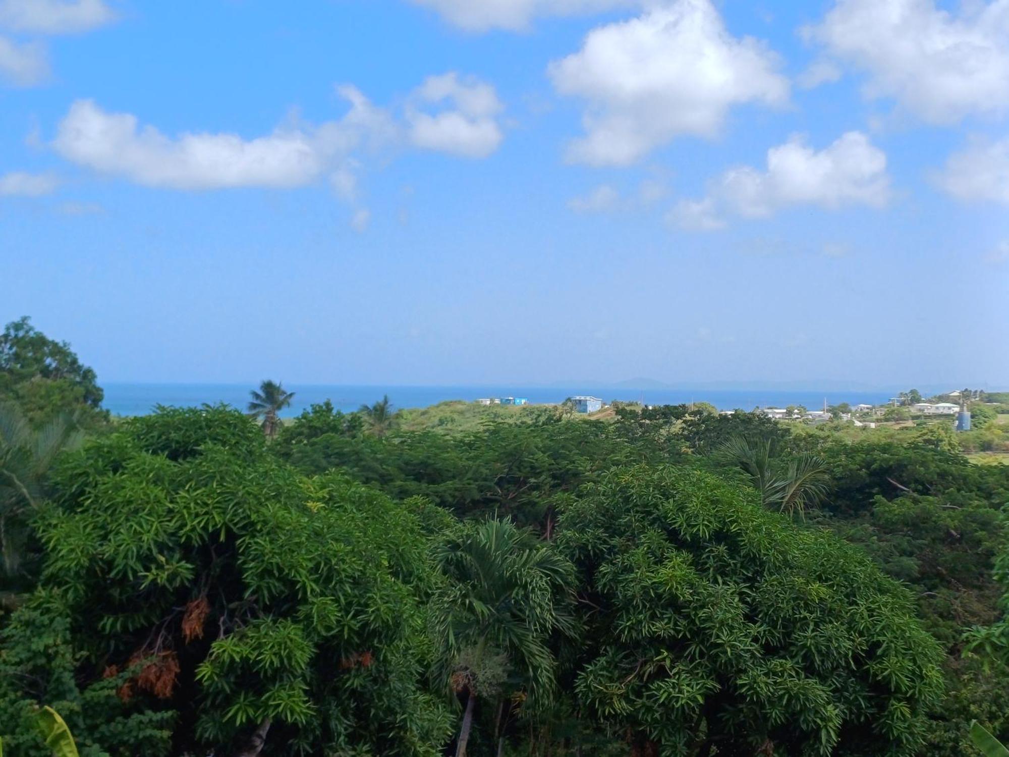 Rooster Run Glamping Camping Has Rooftop And Off The Ground Glamping Experience For 1 To 16 In A Single Tent And Views Of The Rain Forrest And To Culebra Across The Atlantic Ocean W Tents, Linens, Deluxe Air Beds, Warm Shower And More At A Great Pric Vieques Extérieur photo