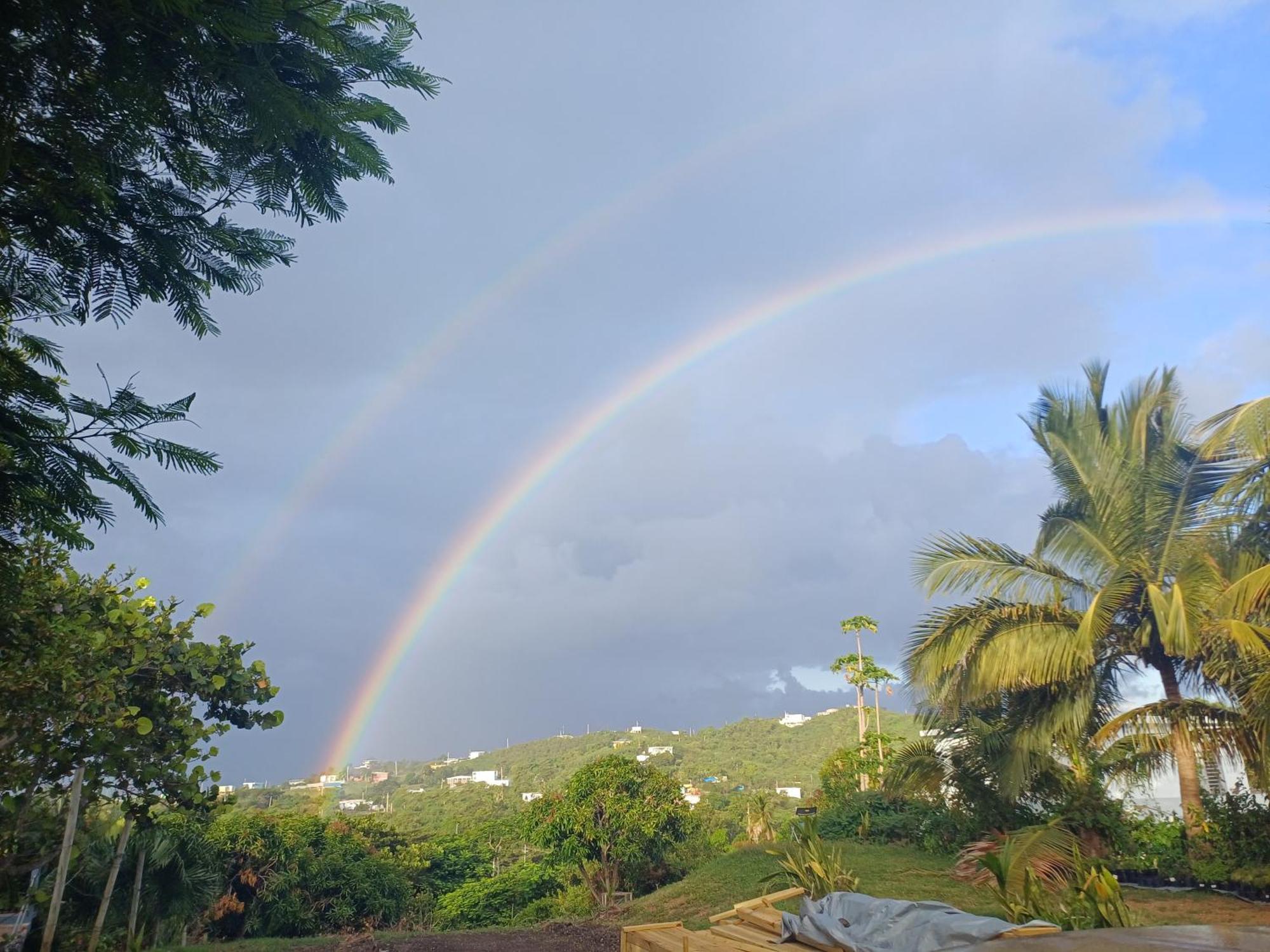 Rooster Run Glamping Camping Has Rooftop And Off The Ground Glamping Experience For 1 To 16 In A Single Tent And Views Of The Rain Forrest And To Culebra Across The Atlantic Ocean W Tents, Linens, Deluxe Air Beds, Warm Shower And More At A Great Pric Vieques Extérieur photo