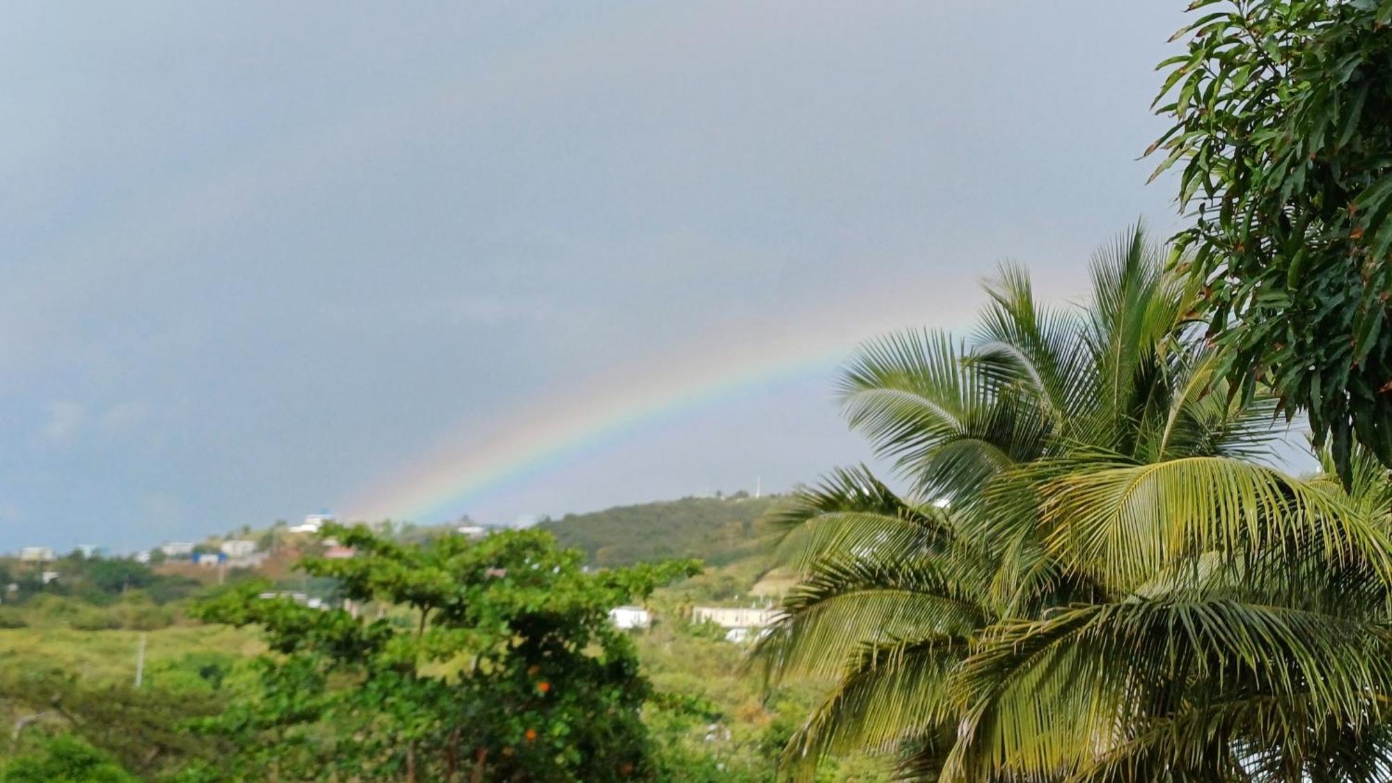Rooster Run Glamping Camping Has Rooftop And Off The Ground Glamping Experience For 1 To 16 In A Single Tent And Views Of The Rain Forrest And To Culebra Across The Atlantic Ocean W Tents, Linens, Deluxe Air Beds, Warm Shower And More At A Great Pric Vieques Extérieur photo