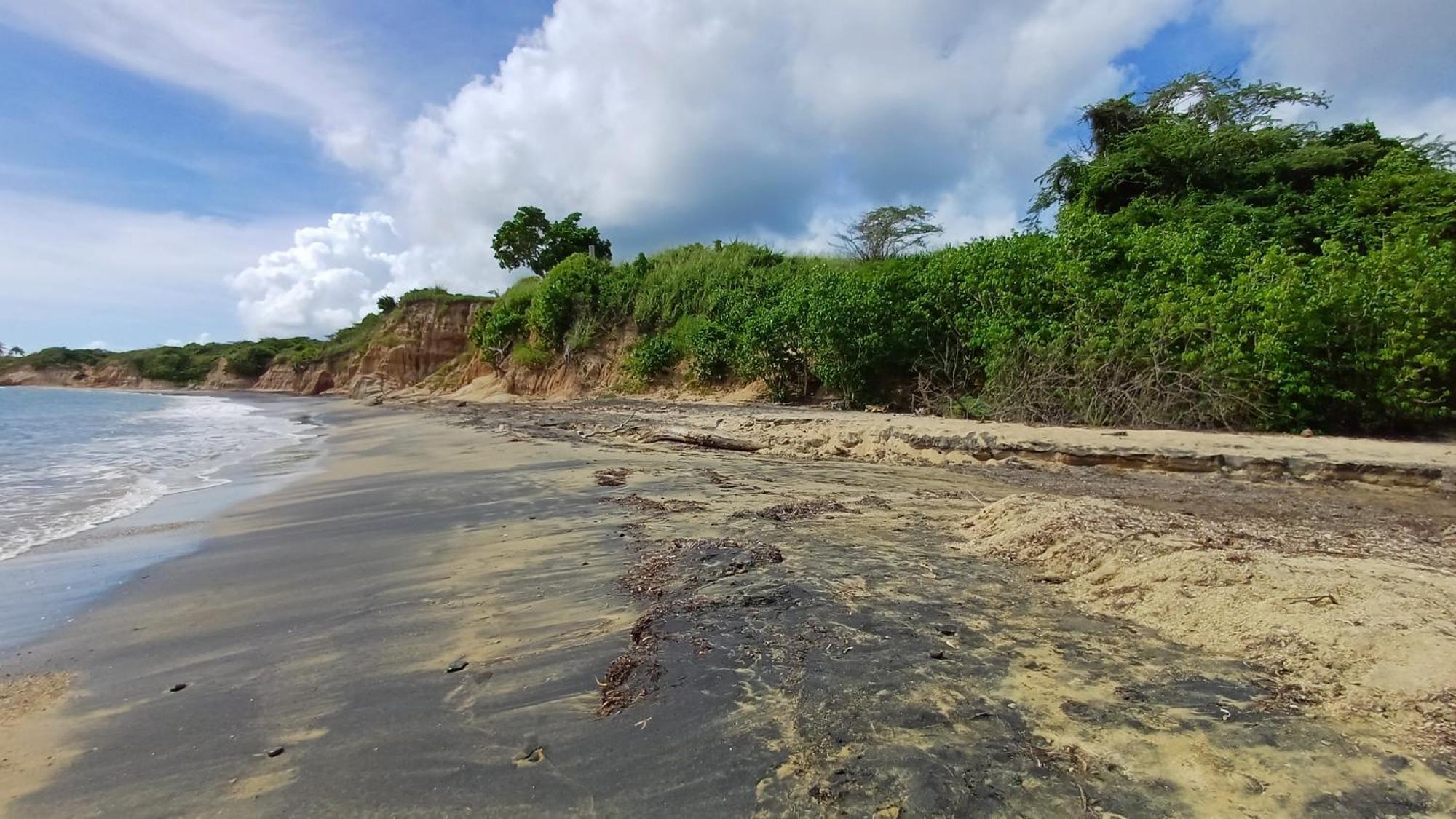 Rooster Run Glamping Camping Has Rooftop And Off The Ground Glamping Experience For 1 To 16 In A Single Tent And Views Of The Rain Forrest And To Culebra Across The Atlantic Ocean W Tents, Linens, Deluxe Air Beds, Warm Shower And More At A Great Pric Vieques Extérieur photo